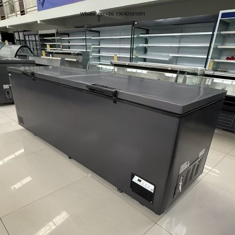 Commerciële dubbele deur horiz - Commercial Chest Freezer recensie en prijs